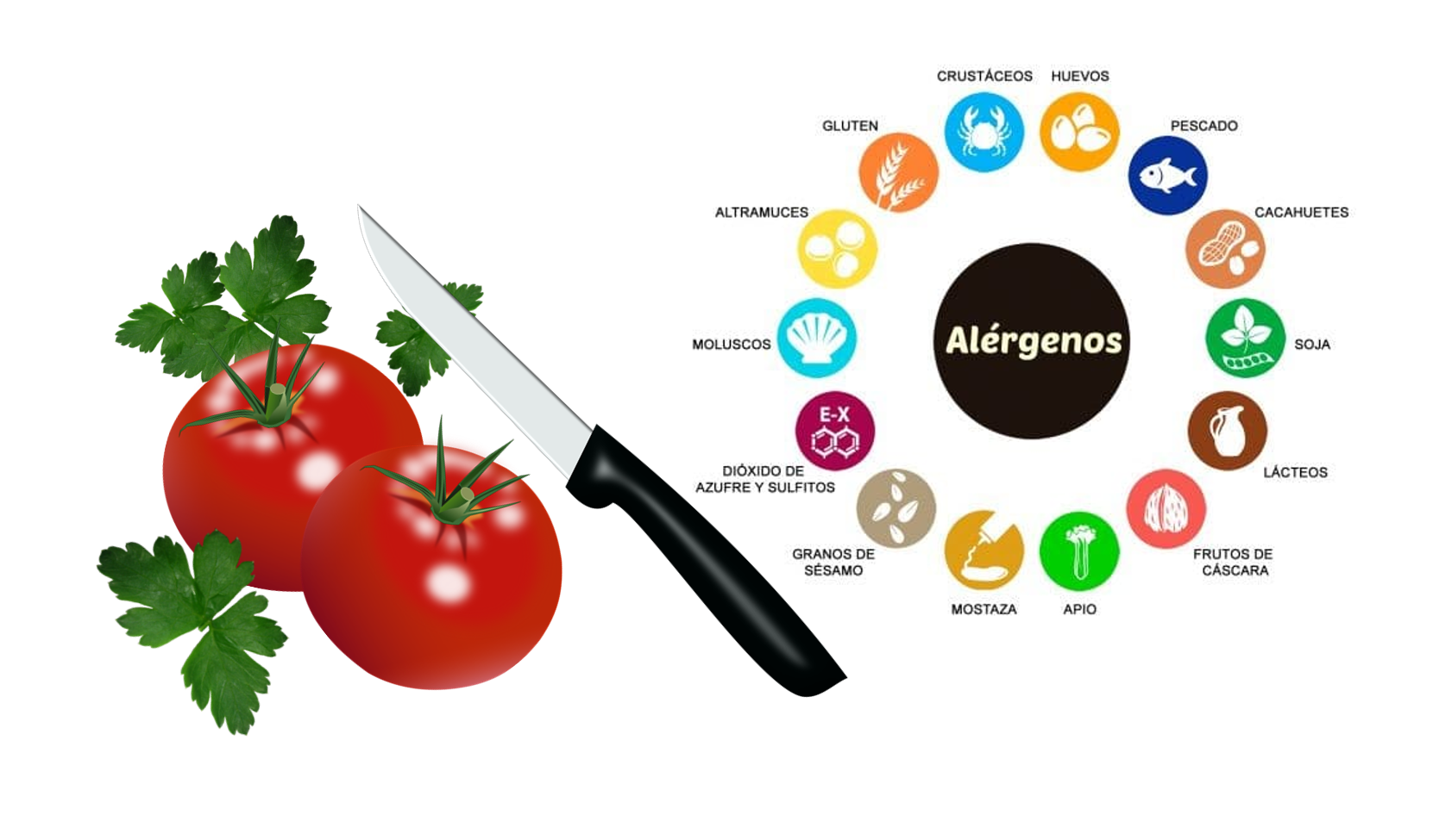 Manipulación de Alimentos y Control de Alérgenos